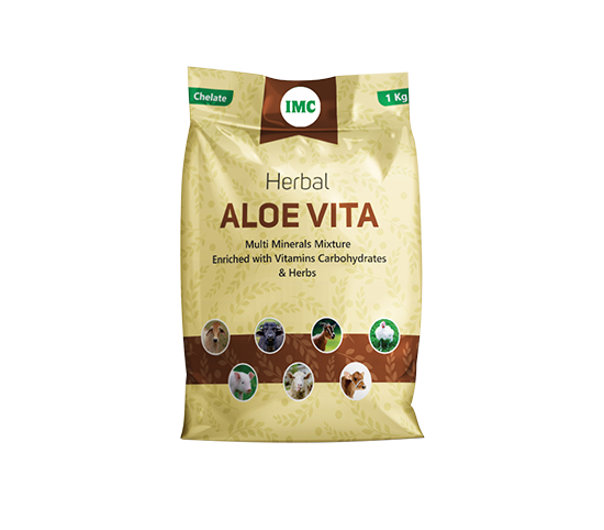 HERBAL ALOE VITA