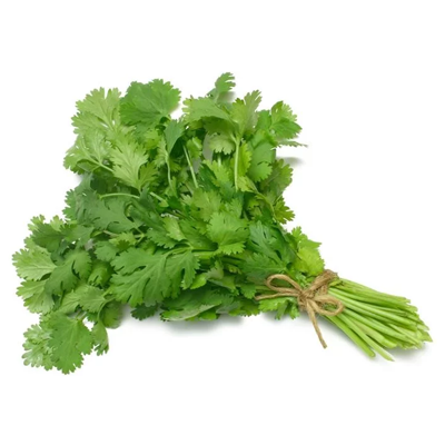 Coriander (Dhania)