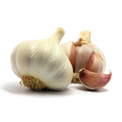 Garlic Extract