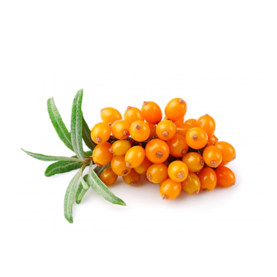 Himalayan Berry