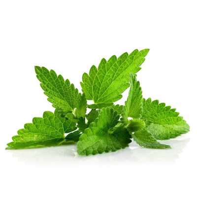 Menthol