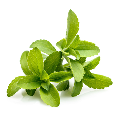 Stevia