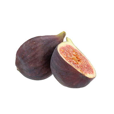 Common Fig