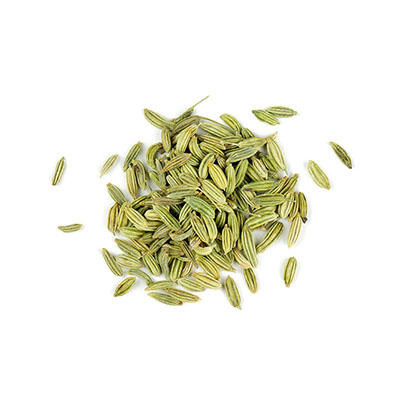 Fennel