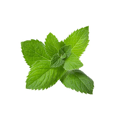 Pepper Mint