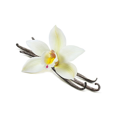 Vanilla