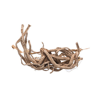 Vetiver